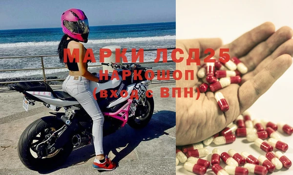 эйфоретик Покачи