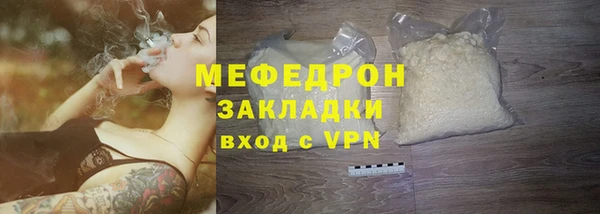 гидра Инта