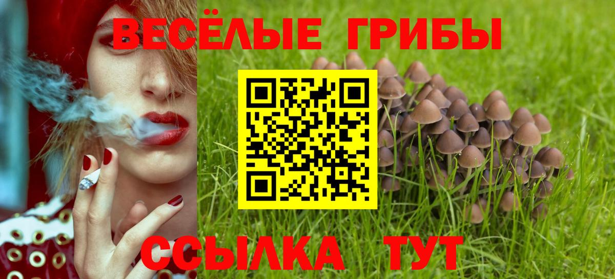 Галлюциногенные грибы прущие грибы Березники