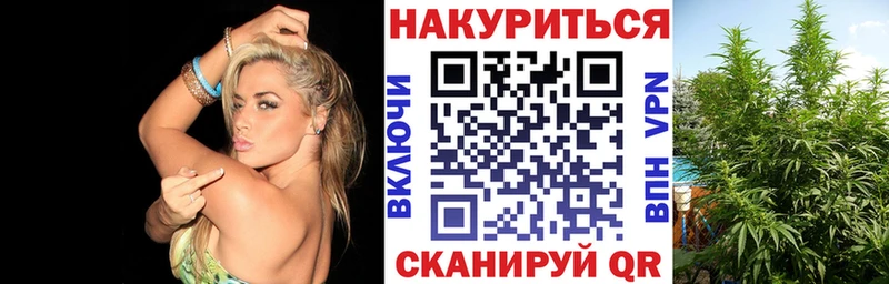 закладки  Березники  Шишки марихуана гибрид 